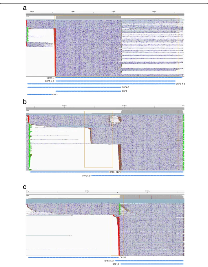 Fig. 8 Types of overlaps between VZV transcripts. Reads were visualized using IGV. Blue arrow-rectangles represent transcript annotations