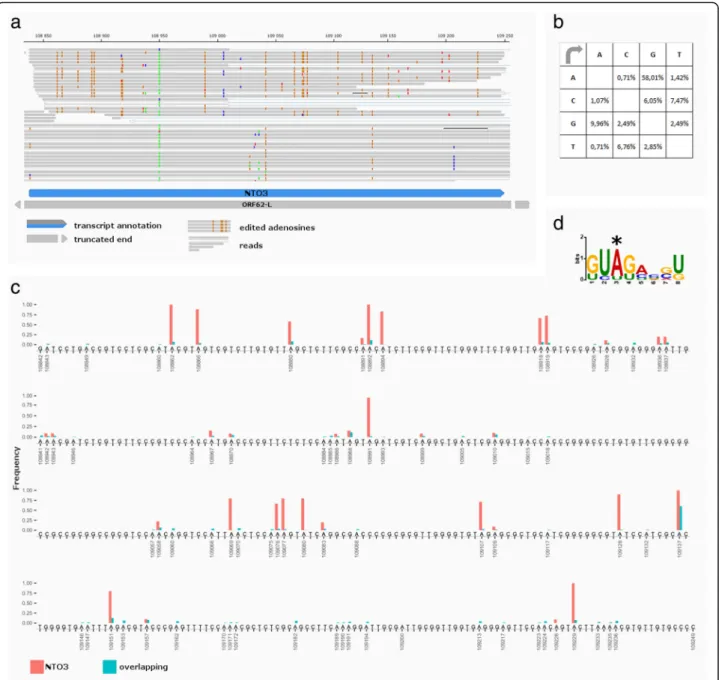 Fig. 9 A to I hyper-editing of NTO3. a. Reads of NTO3 and the overlapping transcripts mapping to the VZV genome visualized with IGV