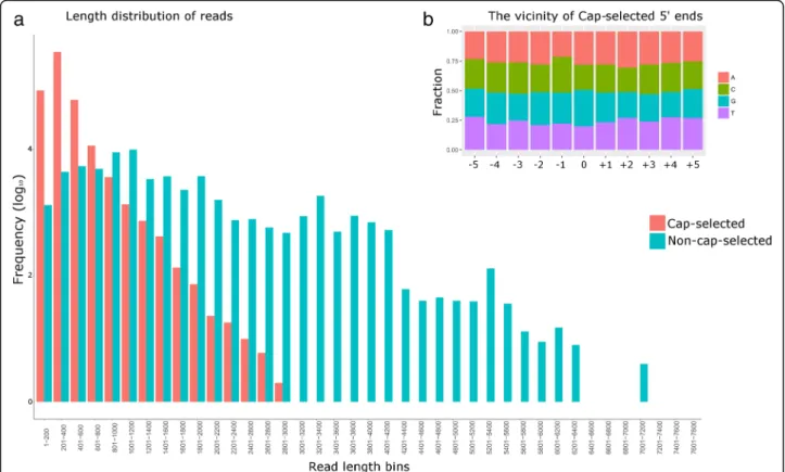 Fig. 2 The read length distribution of cap-selected and non-cap-selected RNAs. a. The frequency of the reads of the cap-selected and non-cap- non-cap-selected sequencing binned by 200 nucleotides shows that the cap-non-cap-selected reads are skewed towards