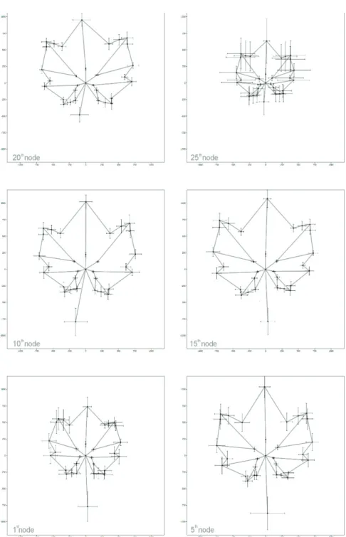 Fig. 3. Graphic reconstruction of the typical leaf shapes at 1 st , 5 th , 10 th , 15 th , 20 th , and 25 th nodes based on the average and standard deviation of the Procrustes coordinates 