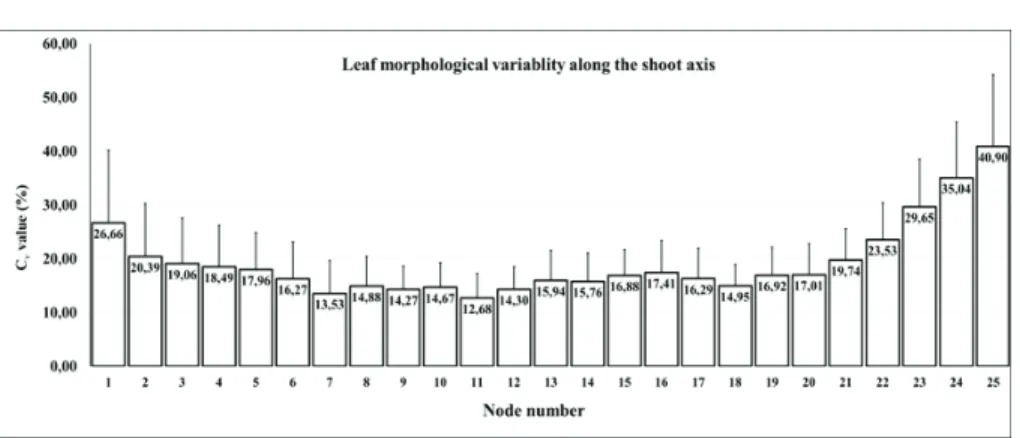 Fig. 4. Coefficient of variability of the 54 characteristics along the shoot axis  variability was calculated for the morphological characters, based on the  average and standard deviation of the 54 characters