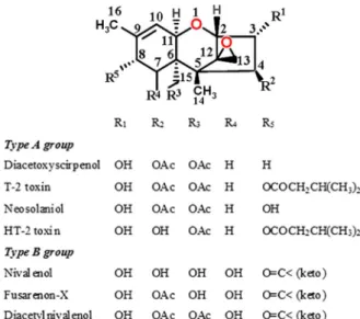 Figure 2. Chemical structures of trichothecene analogs