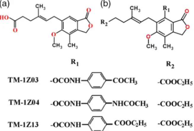 Figure 5. Mycophenolic acid derivatives. (a) Mycophenolic acid, (b) derivatives of mycophenolic acid with antitumor activities