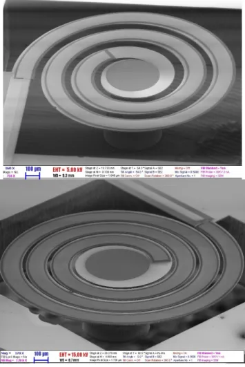 Figure 1. Tilt-view scanning electron microscope (SEM) images of two typical cantilevers