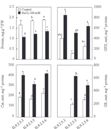 Fig. 3. Total  proteins  soluble  content  and  enzymatic  activity  of  guaiacol  peroxydase  (GPX),  catalase  (CAT) and glutathione reductase (GR) assays in aerial parts of plants