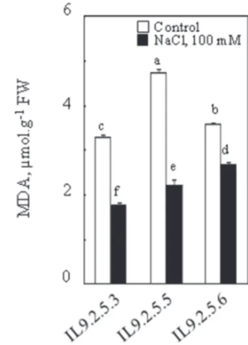 Fig. 2. Malondehyaldehyde content in aerial parts of plants. Thirty two-day-old plants grown in nutritive  solution, at this age 100 mM NaCl was added to the nutrient solution (S)