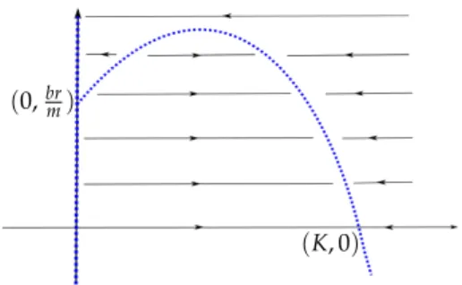 Figure 1.1: Dynamics of (1.1), with δ = c = 0.