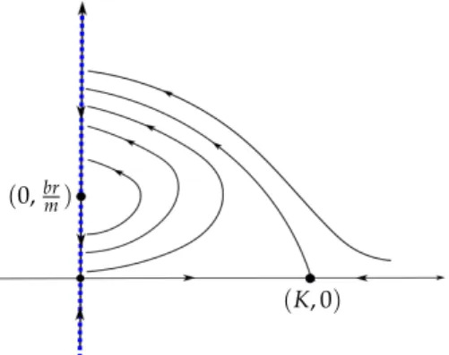 Figure 1.2: Dynamics of (1.1) for δ = 0 and c &gt; 0.