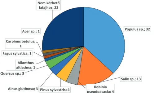 6. ábra: A skarlátbogár (Cucujus cinnaberinus) imágók előfordulása  különféle fafajokban (előfordulások száma)