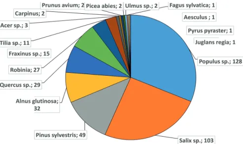 7. ábra: A skarlátbogár (Cucujus cinnaberinus) lárvák előfordulása  különféle fafajokban (előfordulások száma)