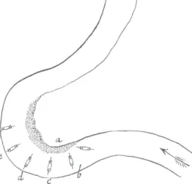 Figure 2. The meanders on the Mureş River (ÖStA, NH, SK, Salzwesen, 199, no. 8, 2 December 1780.)