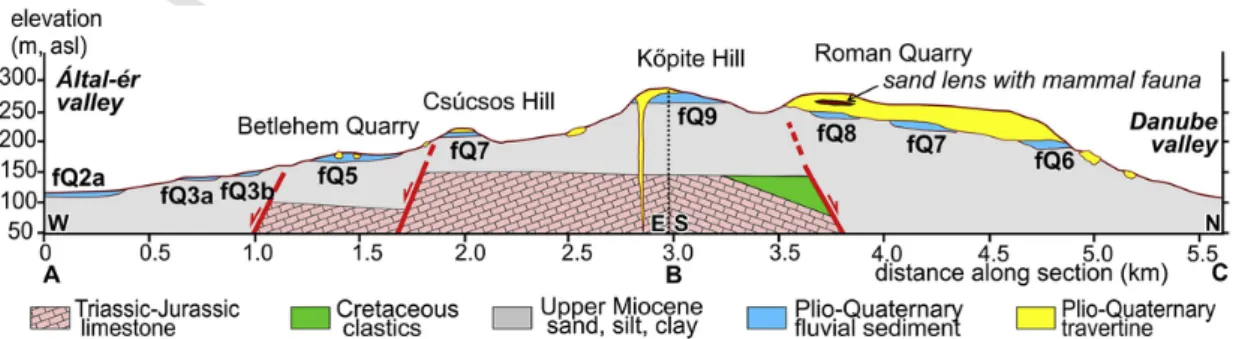 Fig. 2. Simplified cross section of the Gerecse Hills. For location see Fig. 1C.