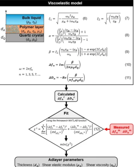 Figure 6.  Schematic representation of the QCM data analysis code implemented in MATLAB