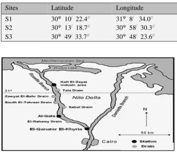 Table 1. The latitude and longitude of sampling stations at Rosetta  Branch (GPS). 