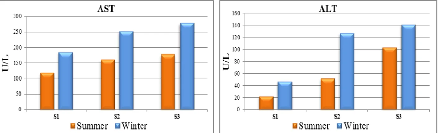 Figure 7. Seasonal variations in biochemical parameters: Aspartate aminotransferase (AST) and Alanine aminotransferase (ALT) (Mean ±  S.E) in blood serum of O.niloticus from Rosetta branch water during summer 2014 and winter 2015 