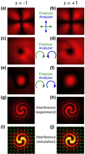 FIG. 6. (a)–(f) Snapshots (35 × 35 μ m 2 ) of the neighbor- neighbor-hood of selected s = ± 1 defects: (a),(b) for crossed polarizers, (c),(d) between a left-circular and a right-circular polarizer, and (e),(f) between two left-circular polarizers