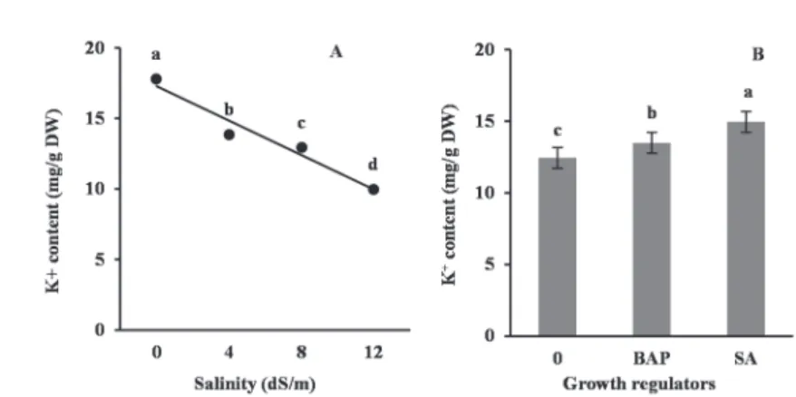Fig. 2. Changes in K +  content of faba bean leaves under different salinity (A) and growth regulators (B)  treatments