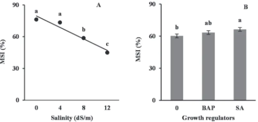 Fig. 4. Changes in membrane stability index (MSI) of faba bean leaves under different salinity (A) and  growth regulators (B) treatments