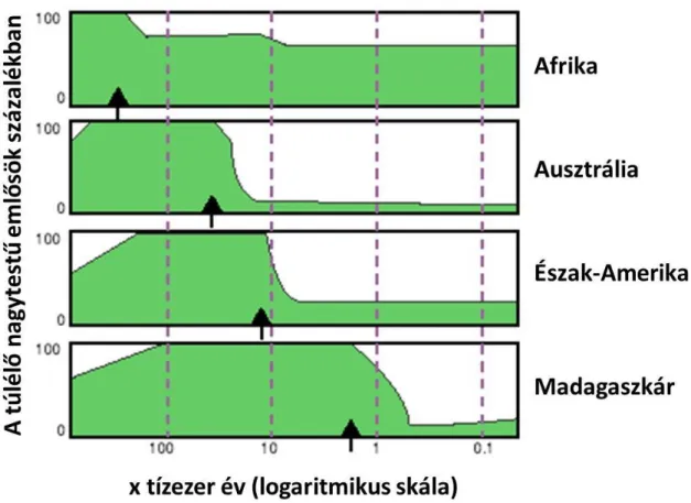 4. ábra. A Homo sapiens megjelenése három kontinensen és Madagaszkáron, és a nagytestű  emlősök ezt követő kihalása