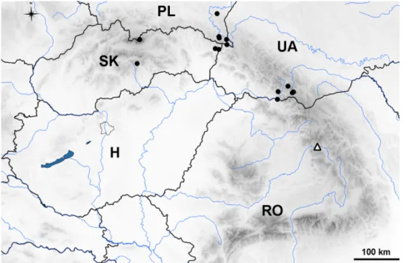 Fig. 2. Known occurrences of Multiclavula mucida in the Carpathian Mts (dots) and the new local- local-ity (triangle) (Guttová and Palice 1999, Holec 2008, Kościelniak et al