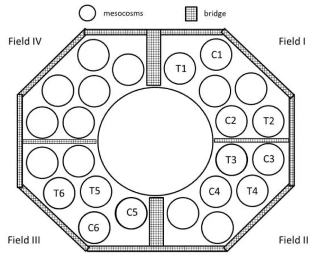 Fig. 1 Lake Lab platform with the experimental design, C1, C2, C3, C4, C5, C6 indicate control 504 