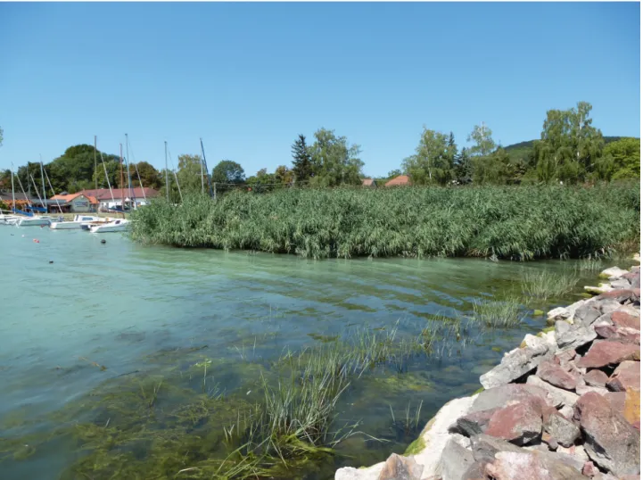figure 4: harbor at révfülöp at lake balaton, which is a preferred habitat of faxonius limosus (Photo: weiperth András)