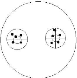 1. ábra: A kísérleti elrendezés. A kisebb körök közepére kerültek a táplálékszemcsék, a nagyobb  körökön belül számoltuk az ürüléket.