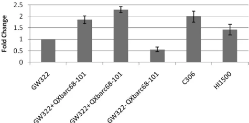 Figure 1. Relative expression of mQTL26 homologous to barley gene, AK248593.1 in wheat