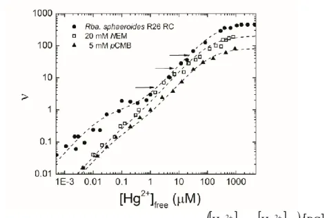 Figure  1.  Number  of  occupied  binding  sites         Hg 2  total  Hg 2  free  /   RC   on  native RC () and on RC treated by sulfhydryl modifiers pCMB (▲) and NEM  (□)  as  a  function  of  free  mercury(II)  concentration  [Hg 2+ ] free 