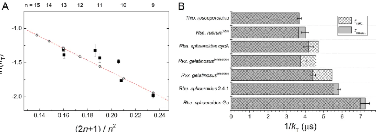 Figure 6. Triplet relaxation rate constants (k T ) of carotenoids of different conjugation lengths (n) in  intact  cells  of  photosynthetic  bacteria