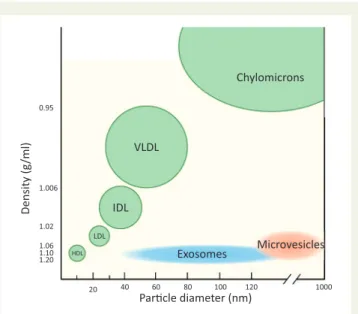 Figure 1 Exosomes and MVs overlap in size with VLDL and chylomi- chylomi-crons, and in density with HDL/LDL particles