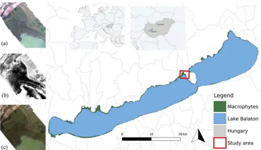 Figure 1. Study area in the Bozsai Bay, Hungary (latitude 46.917899, longitude 17.835806)