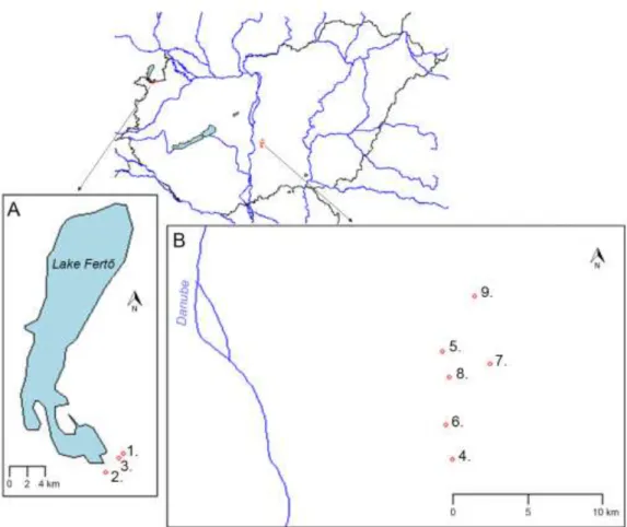 Fig.  1.  Sampling  sites  in  the  Fertő-Hanság  region  (A)  and  in  the  Danube-Tisza  608 