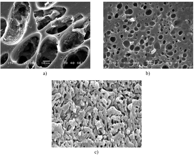 Figure 5. Representative SEM micrographs demonstrating the structure of the polymer/lignin blends  studied