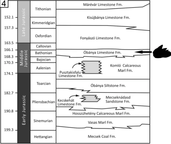 Fig. 4. Lithostratigraphical scheme for the Jurassic deposits of the Mecsek Zone (Southern Hun- Hun-gary) (modifi ed aft er Price et al