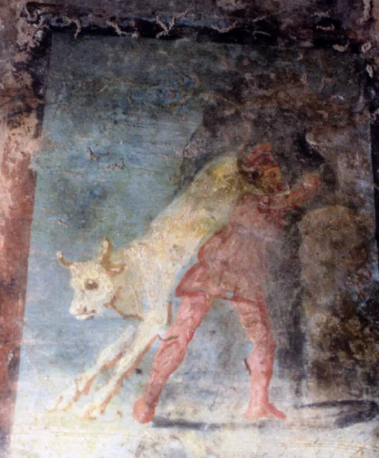Fig. 10. Mithras carried the killed bull, on the right side of the entrance from “South” of the cave;  