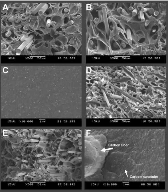 Fig. 4. SEM micrographs of fracture surfaces: a) PA6 / 30BF, b) PA6 / 30BF / 0.5CNT,  c) PA6 / 30BF / 0.75CNT, d) PA6 / 30CF, e) PA6 / 30BF / 0.75CNT, 