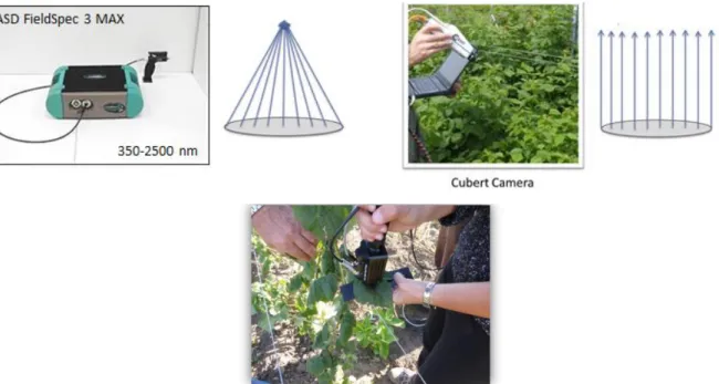 Figure 4: ASD FieldSpec 3 MAX with PlanProbe sensor head and a Cubert snapshot  camera 