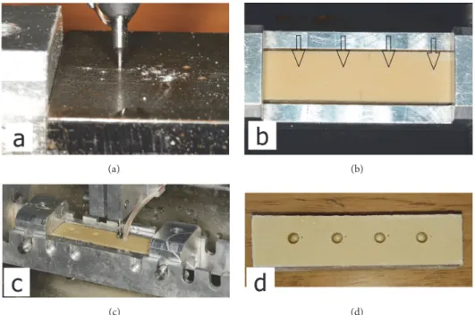 Figure 3: (a) The metal template is attached on the bone fixation box and determines the correct localization of the cavities for placing thermocouple probes