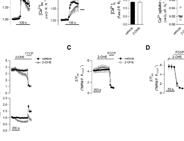 Figure S1. Effect of the sAC inhibitor 2-OHE on mitochondrial Ca 2+  signalling and ΔΨ m  in H295R cells 