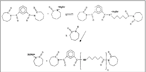 2. ábra Az ε-kaprolaktám polimerizációs reakciójának mechanizmusa CLMgBr iniciátor  alkalmazása mellett [14] 