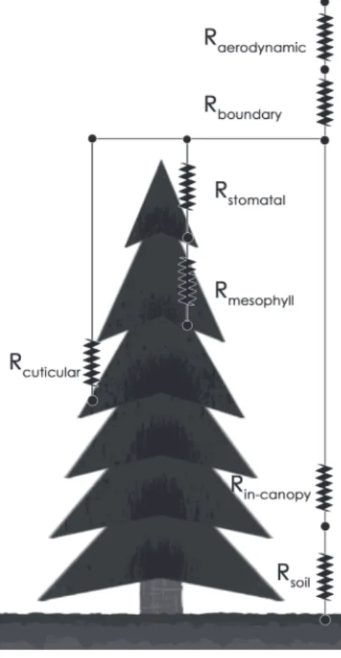 Fig. 2. Resistance network used in the models. 