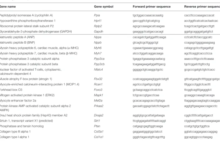 TABLE 1 | Primer sequences.