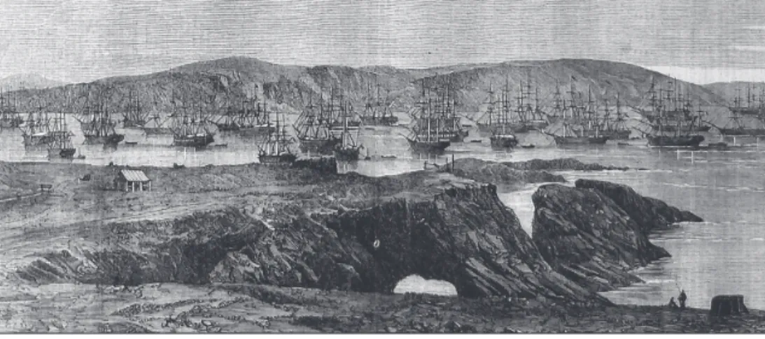 3. kép. Guanót szállító hajók a Chincha-szigeteknél