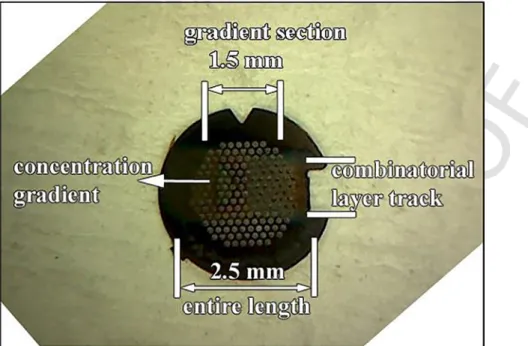 Fig. 2. Photo of a thin Mn–Al micro-combinatorial sample DC sputter-deposited on a TEM grid