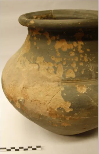 Fig. 297. Traces de gel à la surface d’un vase   de la sépulture 40/107