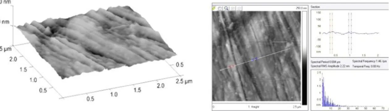 Figure 1. Carbon steel surface visualized by AFM on air, demonstrated by 3D and section
