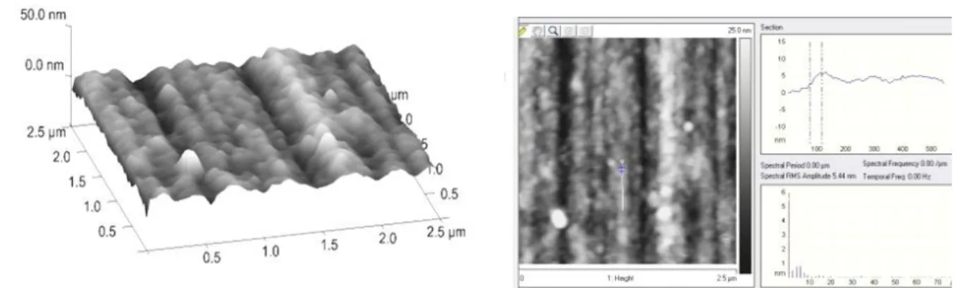 Figure 2. Undecenyl phosphonic acid SAM layer (24 h) covered carbon steel surface  visualized by AFM on air, demonstrated by 3D and section