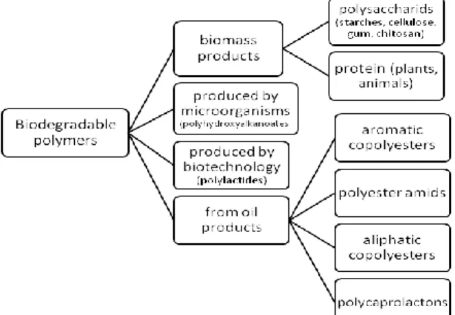 Figure 6.1. Classification of biodegradable polymers 
