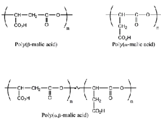 Figure 4.1. Polymeric forms of malic acid 